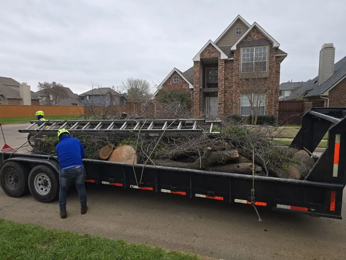 Expert Tree Fertilization with proper safety equipment in Waconia